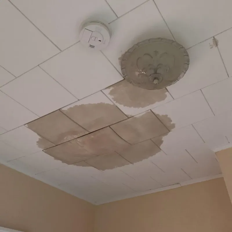 Ceiling Water Damage Repair in Indiana County, PA