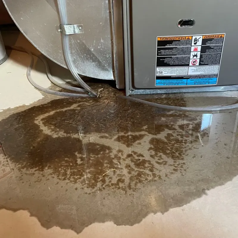 Pipe Burst and Leak Restoration in Indiana County, PA