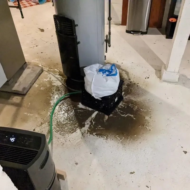 Sewage Backup Cleanup Service in Indiana County, PA
